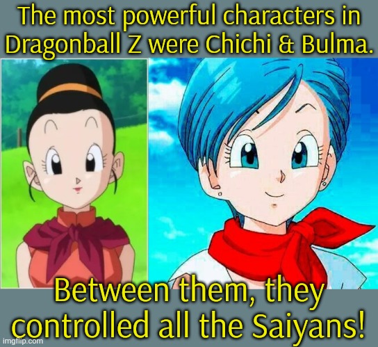 The TV show, not the movies. | The most powerful characters in
Dragonball Z were Chichi & Bulma. Between them, they controlled all the Saiyans! | image tagged in chi chi waifu,bulma,it's over 9000,married with children,family values,how i met your mother | made w/ Imgflip meme maker