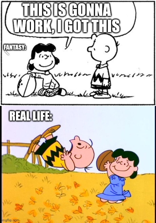 Thoughts From A Hayseed | THIS IS GONNA WORK, I GOT THIS; FANTASY:; REAL LIFE: | image tagged in charlie brown football | made w/ Imgflip meme maker