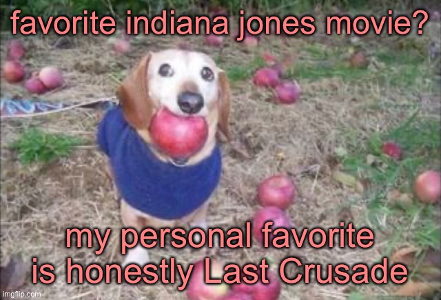 idk i’ve recently rewatched the series and it’s pretty good | favorite indiana jones movie? my personal favorite is honestly Last Crusade | image tagged in this dock | made w/ Imgflip meme maker