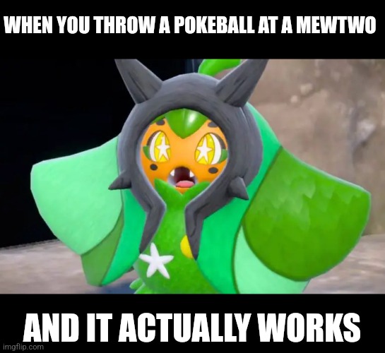 Suprised Ogerpon | WHEN YOU THROW A POKEBALL AT A MEWTWO; AND IT ACTUALLY WORKS | image tagged in suprised ogerpon | made w/ Imgflip meme maker