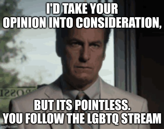 I'D TAKE YOUR OPINION INTO CONSIDERATION, BUT ITS POINTLESS. YOU FOLLOW THE LGBTQ STREAM | made w/ Imgflip meme maker