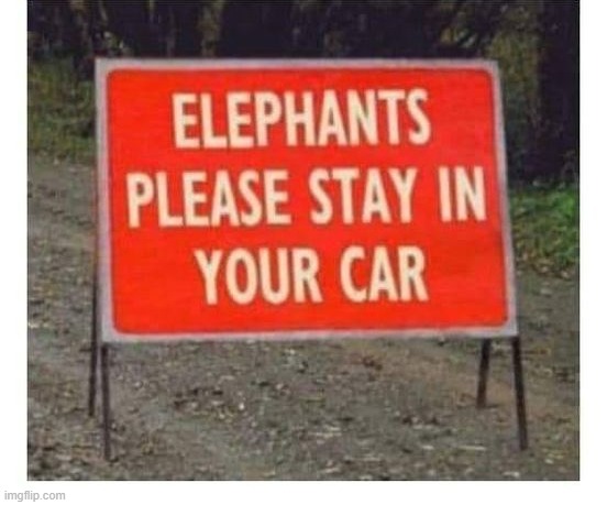 memes by Brad - The sign says "elephants stay in cars" - humor | image tagged in funny,fun,elephants,funny sign,funny animal meme,humor | made w/ Imgflip meme maker