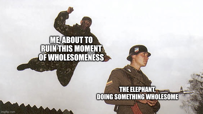 Soldier jump spetznaz | ME, ABOUT TO RUIN THIS MOMENT OF WHOLESOMENESS THE ELEPHANT, DOING SOMETHING WHOLESOME | image tagged in soldier jump spetznaz | made w/ Imgflip meme maker