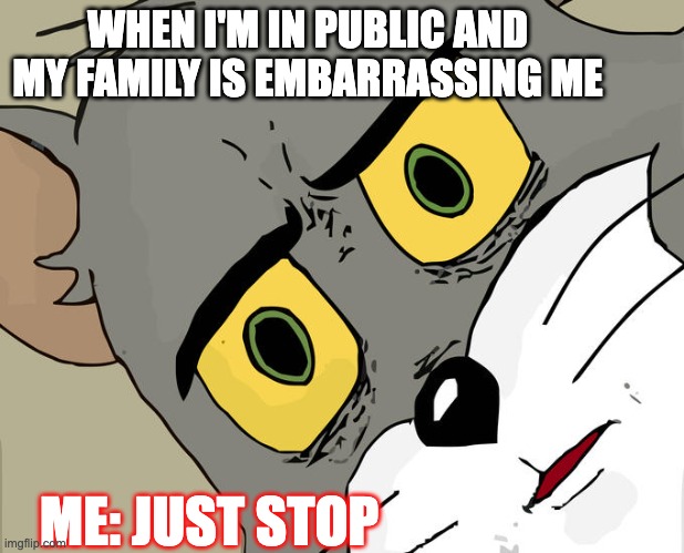 Embarrassed Tom | WHEN I'M IN PUBLIC AND MY FAMILY IS EMBARRASSING ME; ME: JUST STOP | image tagged in unsettled tom | made w/ Imgflip meme maker