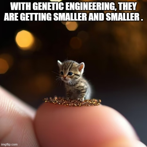 memes by Brad - kittens are getting smaller and smaller | WITH GENETIC ENGINEERING, THEY ARE GETTING SMALLER AND SMALLER . | image tagged in funny,cats,kittens,funny cat memes,funny cats,humor | made w/ Imgflip meme maker