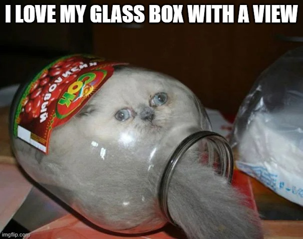 memes by Brad - cat in a jar | I LOVE MY GLASS BOX WITH A VIEW | image tagged in funny,cats,funny cats,funny cat memes,kittens,humor | made w/ Imgflip meme maker