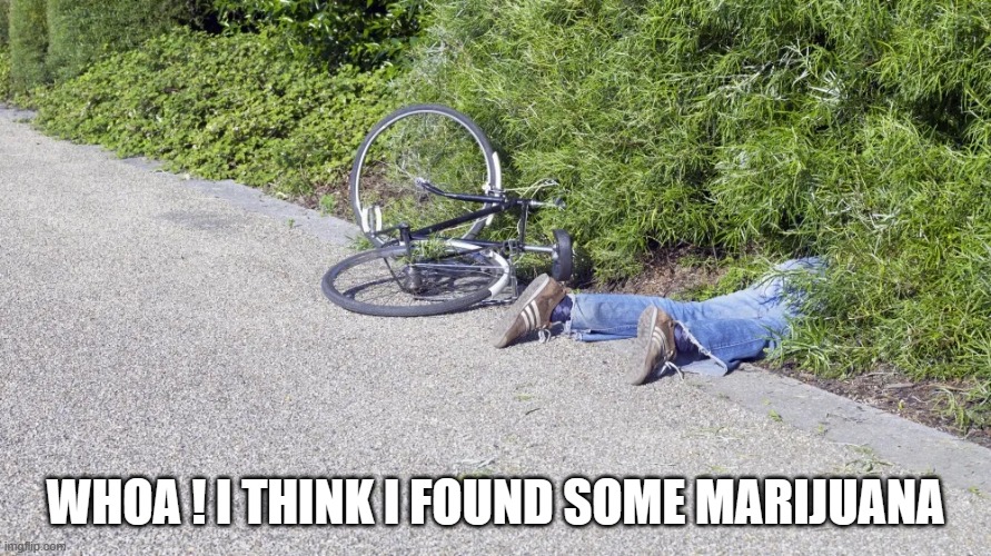 meme by Brad - bike rider found marijuana - humor | WHOA ! I THINK I FOUND SOME MARIJUANA | image tagged in funny,sports,marijuana,bicycle,funny meme,humor | made w/ Imgflip meme maker