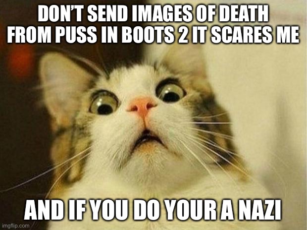 Don’t do it I easily can get scared | DON’T SEND IMAGES OF DEATH FROM PUSS IN BOOTS 2 IT SCARES ME; AND IF YOU DO YOUR A NAZI | image tagged in memes,puss in boots,scared cat,i dare you,dare | made w/ Imgflip meme maker