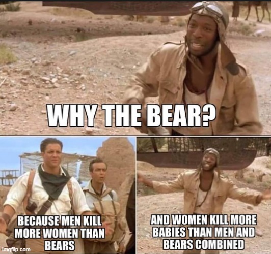 Man V Bear | image tagged in gender studies,abortion,murder,bear,men,violent | made w/ Imgflip meme maker