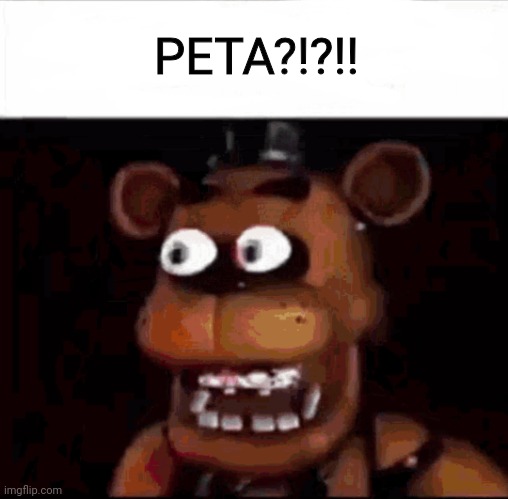 Shocked Freddy Fazbear | PETA?!?!! | image tagged in shocked freddy fazbear | made w/ Imgflip meme maker