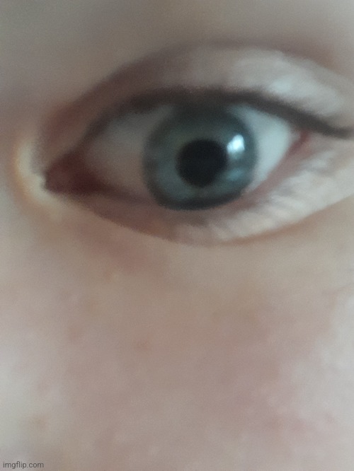 Yall start posting your eye for funny trend | made w/ Imgflip meme maker