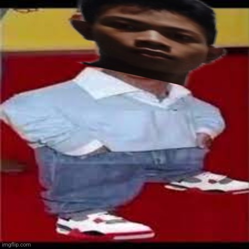 mini drake | image tagged in mini drake | made w/ Imgflip meme maker