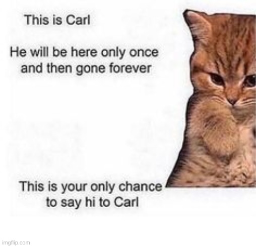 . | image tagged in this is carl | made w/ Imgflip meme maker
