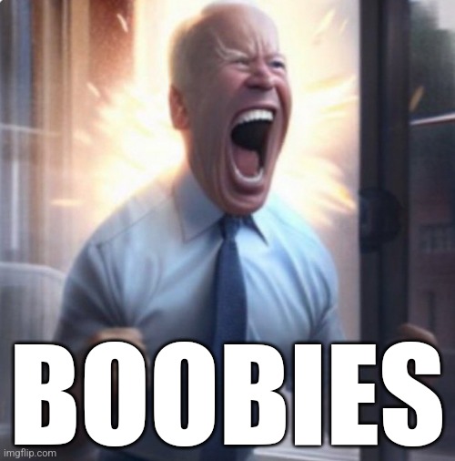 Biden Lets Go | BOOBIES | image tagged in biden lets go | made w/ Imgflip meme maker