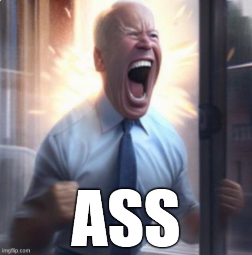 Biden Lets Go | ASS | image tagged in biden lets go | made w/ Imgflip meme maker