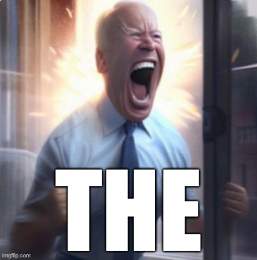 Biden Lets Go | THE | image tagged in biden lets go | made w/ Imgflip meme maker