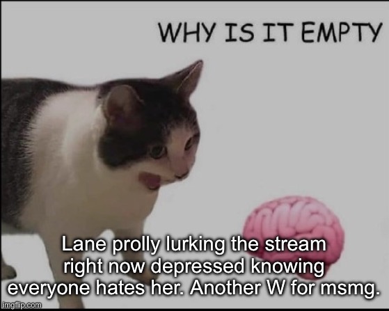 hrelp me | Lane prolly lurking the stream right now depressed knowing everyone hates her. Another W for msmg. | image tagged in hrelp me | made w/ Imgflip meme maker