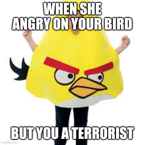 Chimpanzee flinging crap | WHEN SHE ANGRY ON YOUR BIRD; BUT YOU A TERRORIST | image tagged in chuce | made w/ Imgflip meme maker
