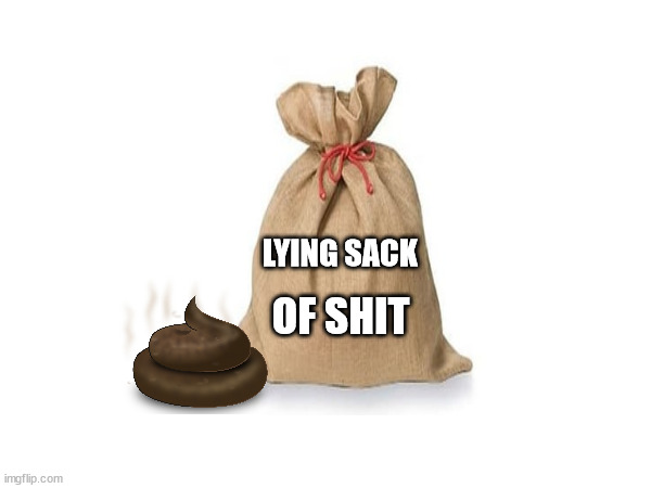 Lying sack of shit | LYING SACK; OF SHIT | image tagged in shit | made w/ Imgflip meme maker