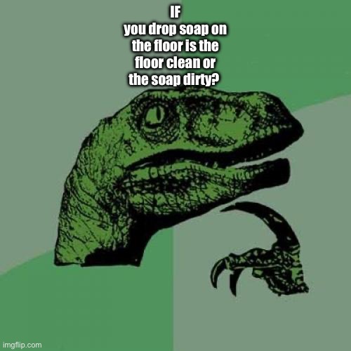 Philosoraptor | IF
you drop soap on
the floor is the
floor clean or
the soap dirty? | image tagged in memes,philosoraptor | made w/ Imgflip meme maker