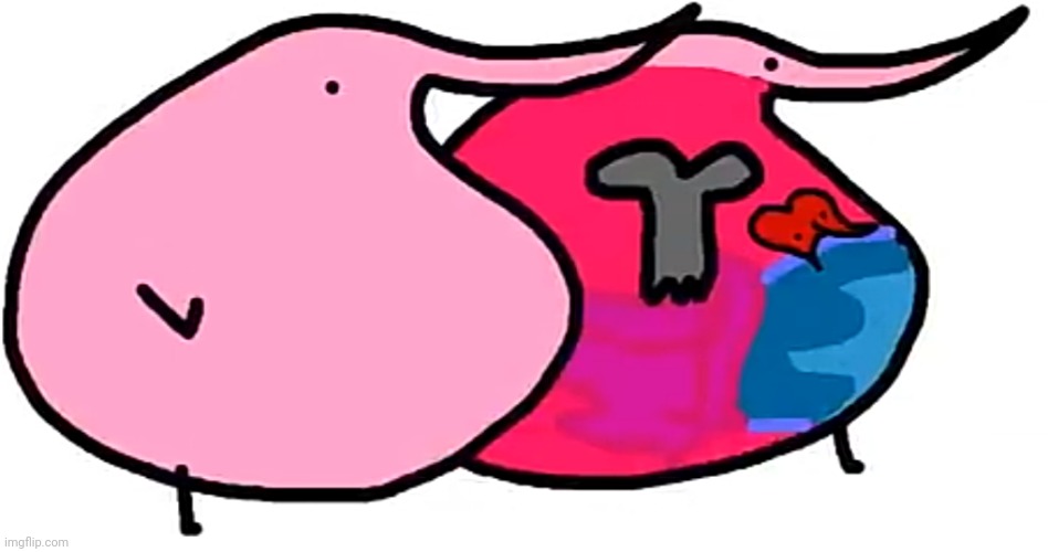 Berd Anatomy.mp3 | image tagged in berd | made w/ Imgflip meme maker