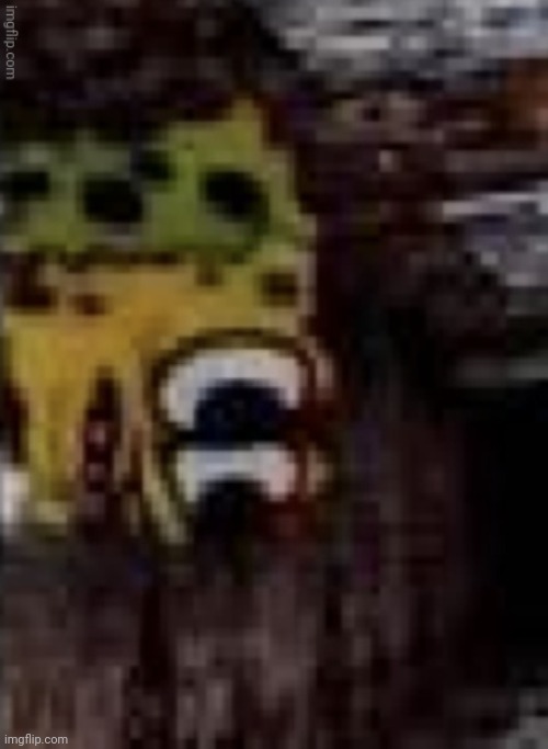 spunch bop trauma | image tagged in spunch bop trauma | made w/ Imgflip meme maker