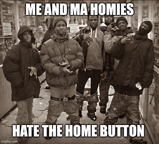 All My Homies Hate | ME AND MA HOMIES; HATE THE HOME BUTTON | image tagged in all my homies hate | made w/ Imgflip meme maker