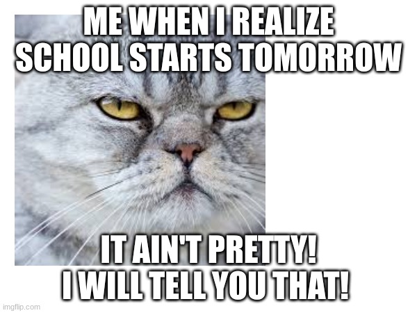 CATISGRUMPY | ME WHEN I REALIZE SCHOOL STARTS TOMORROW; IT AIN'T PRETTY! I WILL TELL YOU THAT! | image tagged in cat,funny memes | made w/ Imgflip meme maker
