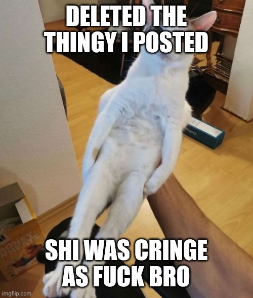 this car think he a chicken | DELETED THE THINGY I POSTED; SHI WAS CRINGE AS FUCK BRO | image tagged in this car think he a chicken | made w/ Imgflip meme maker