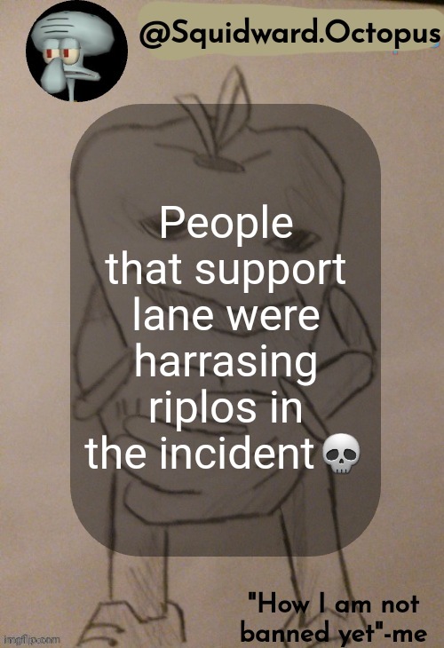 dingus | People that support lane were harrasing riplos in the incident💀 | image tagged in dingus | made w/ Imgflip meme maker