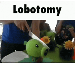 lobotomy-imgflip