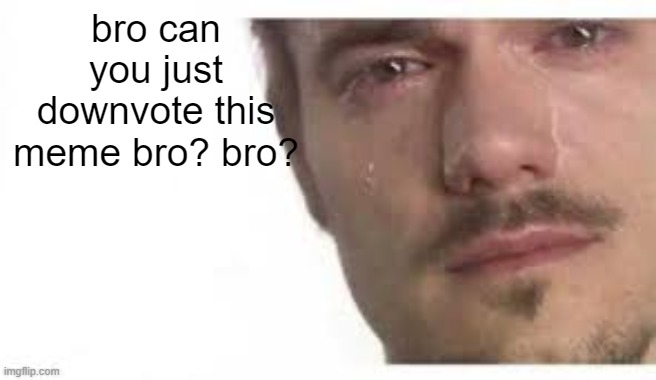 Please Bro | bro can you just downvote this meme bro? bro? | image tagged in bro please bro,memes,funny,funny memes | made w/ Imgflip meme maker
