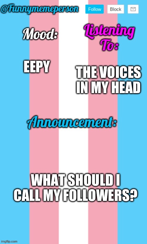 ? | THE VOICES IN MY HEAD; EEPY; WHAT SHOULD I CALL MY FOLLOWERS? | image tagged in transgender | made w/ Imgflip meme maker