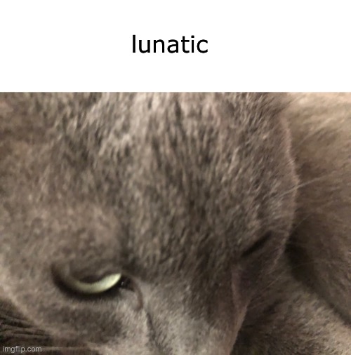 lunatic | made w/ Imgflip meme maker