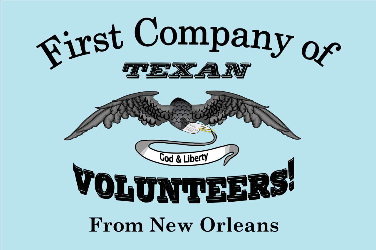 New Orleans Greys flag Alamo First Company of Texan Volunteers Blank Meme Template