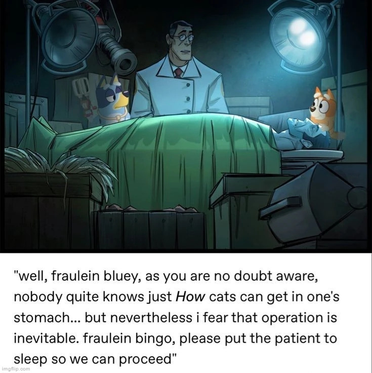 I feel like the medic wouldn't question talking dogs | made w/ Imgflip meme maker