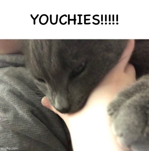 YOUCHIES!!!!! | made w/ Imgflip meme maker