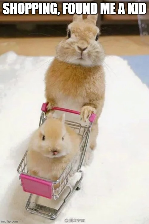Rabbit Cart | SHOPPING, FOUND ME A KID | image tagged in bunnies | made w/ Imgflip meme maker