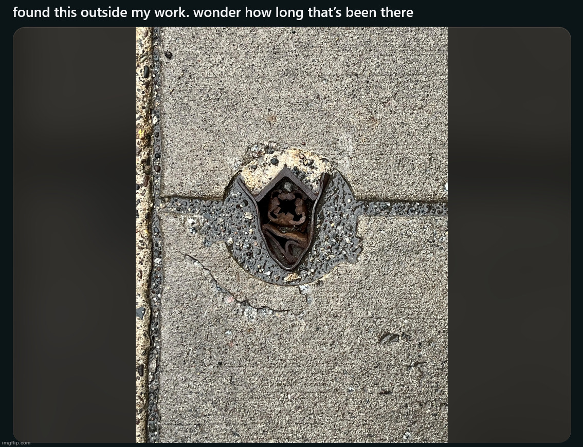 r/dontputyourdickinthat | made w/ Imgflip meme maker