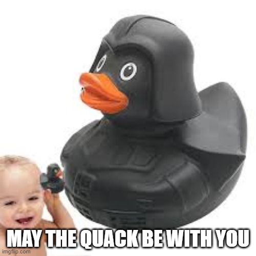Star Wars Duck | MAY THE QUACK BE WITH YOU | image tagged in ducks | made w/ Imgflip meme maker