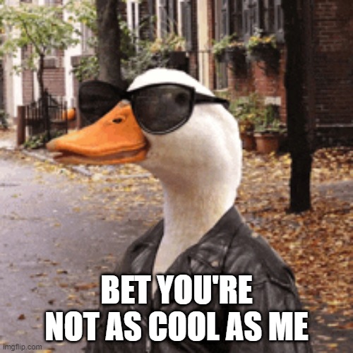 Cool Duck | BET YOU'RE NOT AS COOL AS ME | image tagged in duck | made w/ Imgflip meme maker