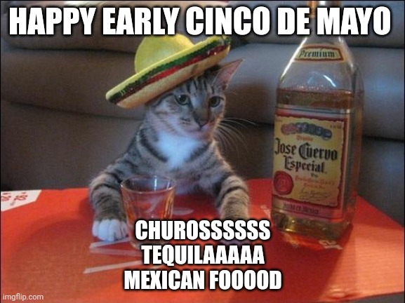 Tequila Cat | HAPPY EARLY CINCO DE MAYO; CHUROSSSSSS
TEQUILAAAAA
MEXICAN FOOOOD | image tagged in tequila cat | made w/ Imgflip meme maker
