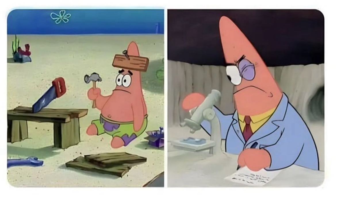 High Quality patrik stella Blank Meme Template