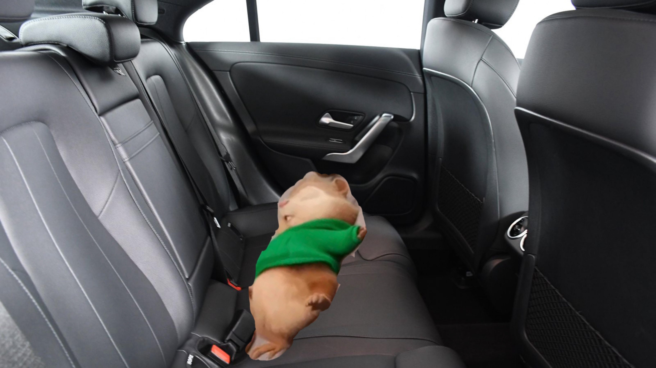 Sleeping Blank Meme Template