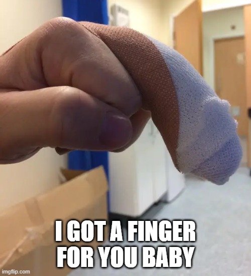 Finger | I GOT A FINGER FOR YOU BABY | image tagged in adult humor | made w/ Imgflip meme maker