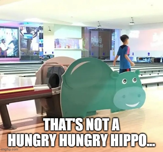 Horny Horny Hippo | THAT'S NOT A HUNGRY HUNGRY HIPPO... | image tagged in adult humor | made w/ Imgflip meme maker