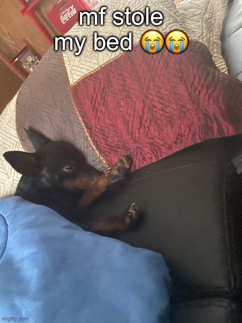 mf stole my bed 😭😭 | made w/ Imgflip meme maker