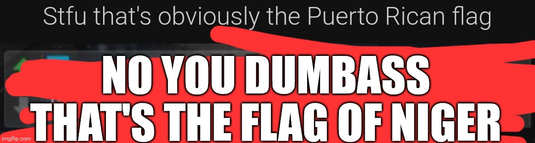 He's so stupid | NO YOU DUMBASS THAT'S THE FLAG OF NIGER | made w/ Imgflip meme maker