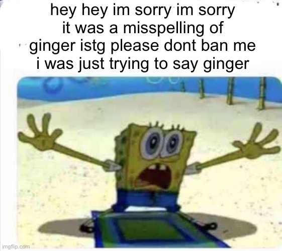 /j SpongeBob | hey hey im sorry im sorry it was a misspelling of ginger istg please dont ban me i was just trying to say ginger | image tagged in /j spongebob | made w/ Imgflip meme maker