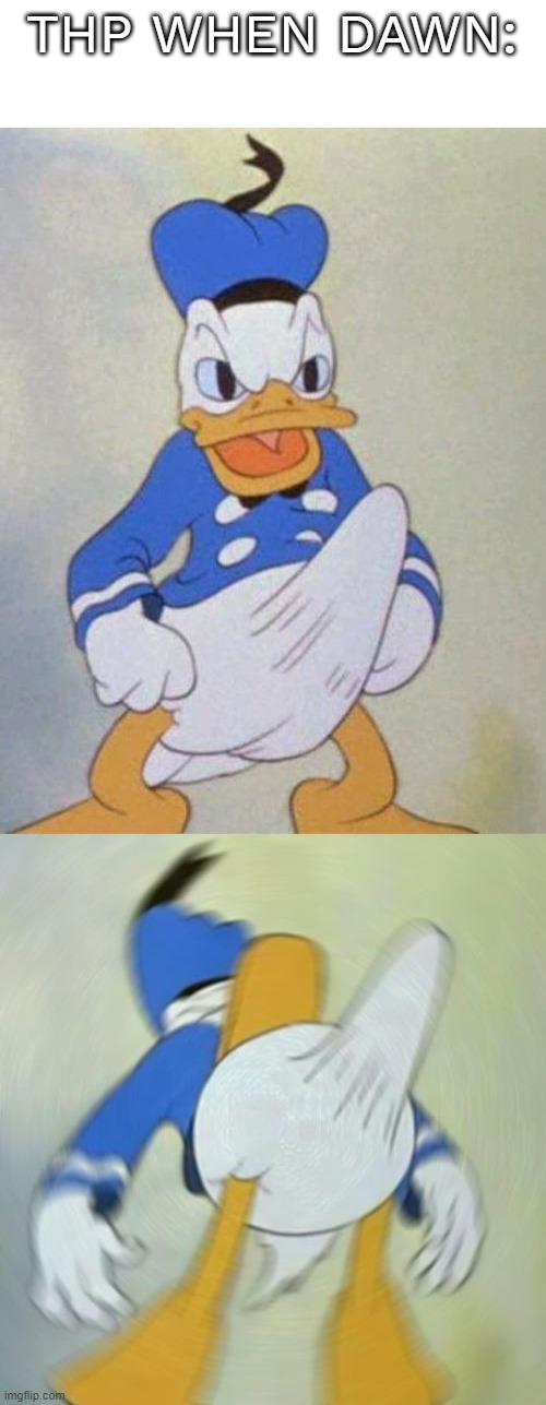 donald duck boner | THP WHEN DAWN: | image tagged in donald duck boner | made w/ Imgflip meme maker